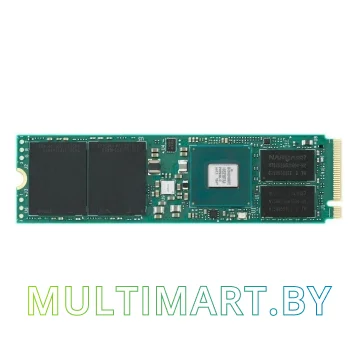 SSD диск Plextor 1TB PX-1T (M10PGN)